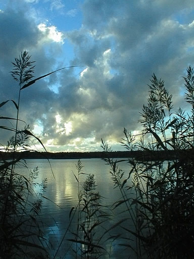 Otaniemi